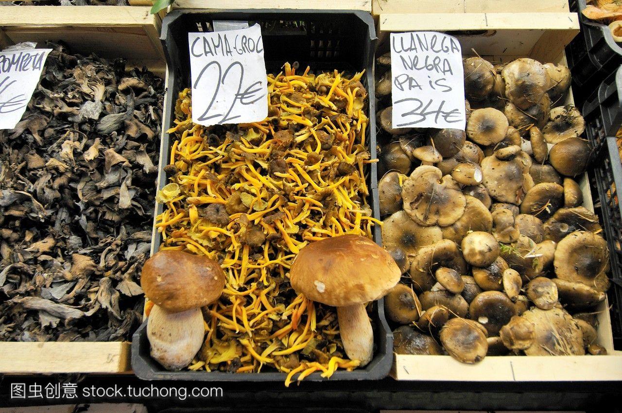 巴塞罗那的laboqueria市场出售蘑菇。西班牙加泰罗尼亚