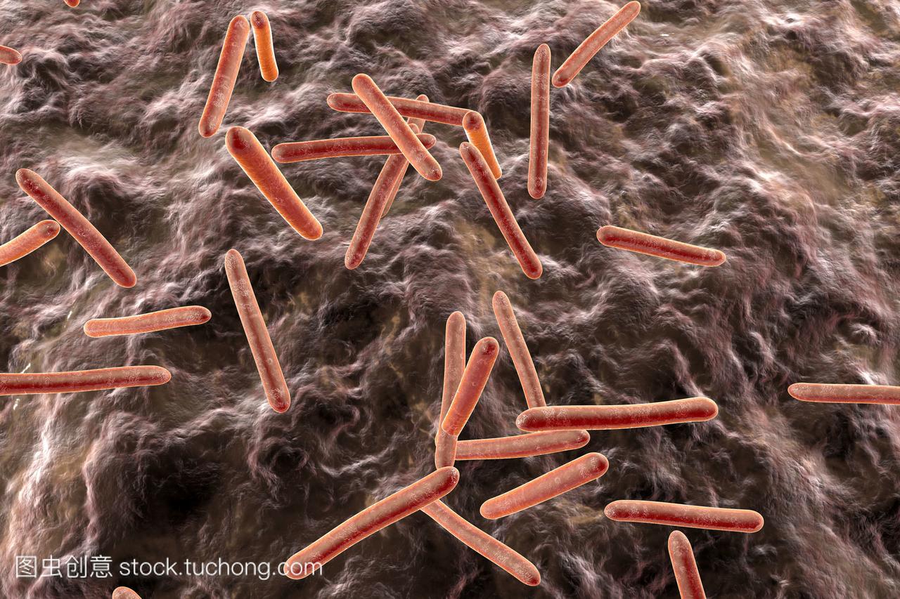结核菌在有机体中,三维渲染