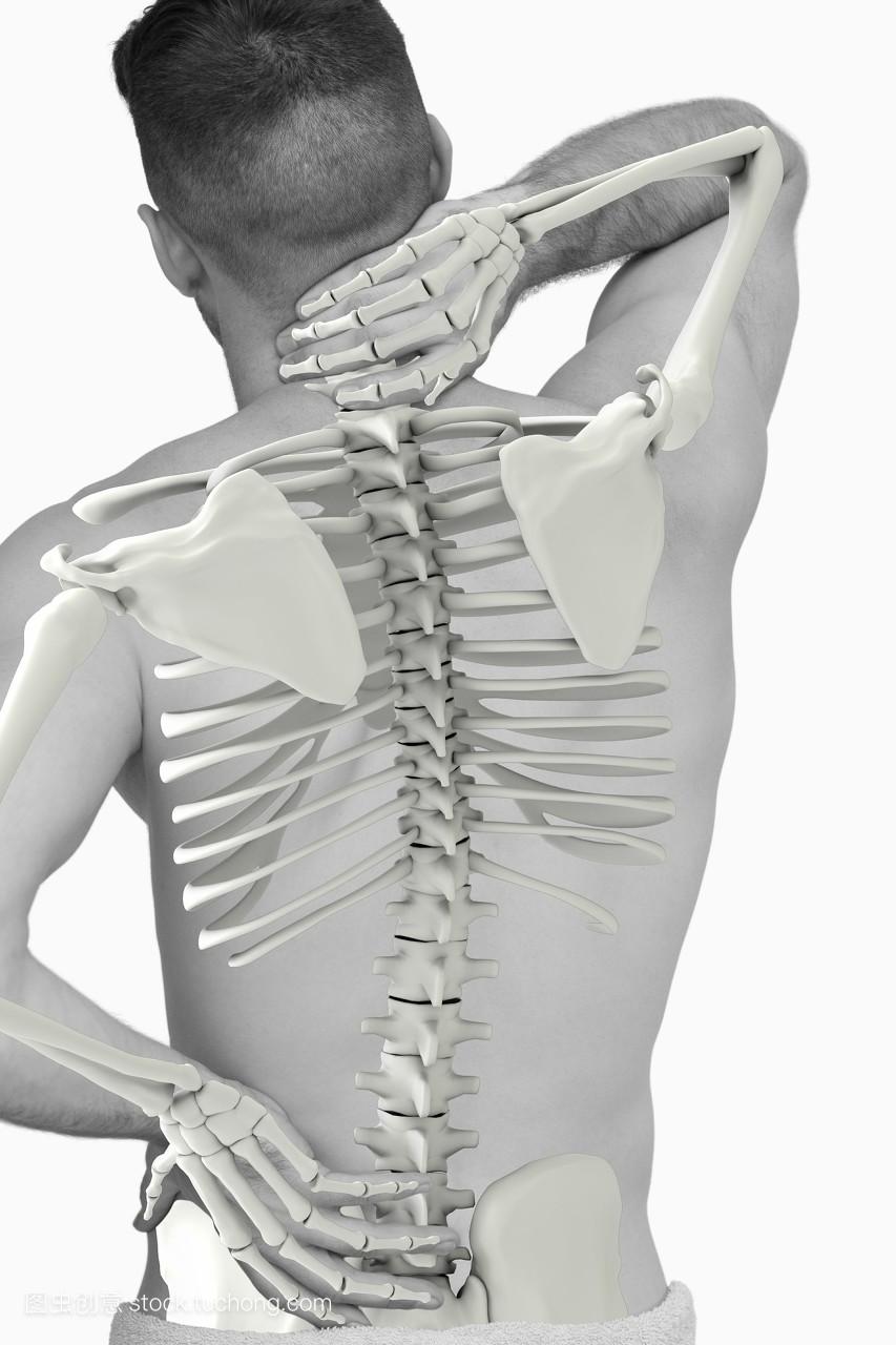数字复合的突出脊柱的背部疼痛