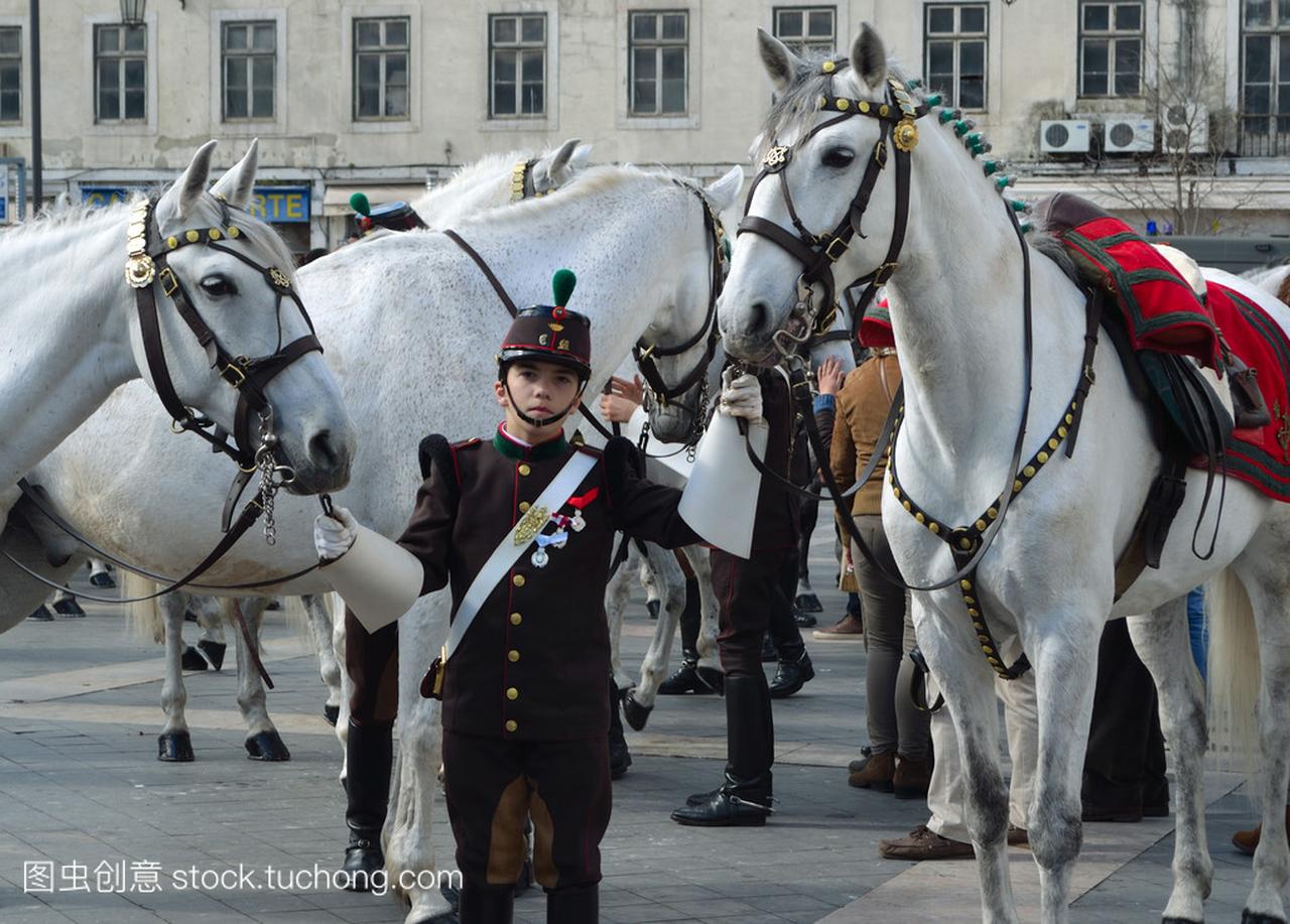 Cavalry Regiment with Lusitano White Horses o