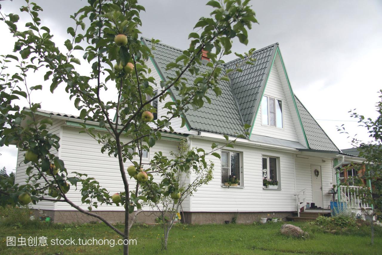 美丽的乡间别墅和它前面的一棵苹果树