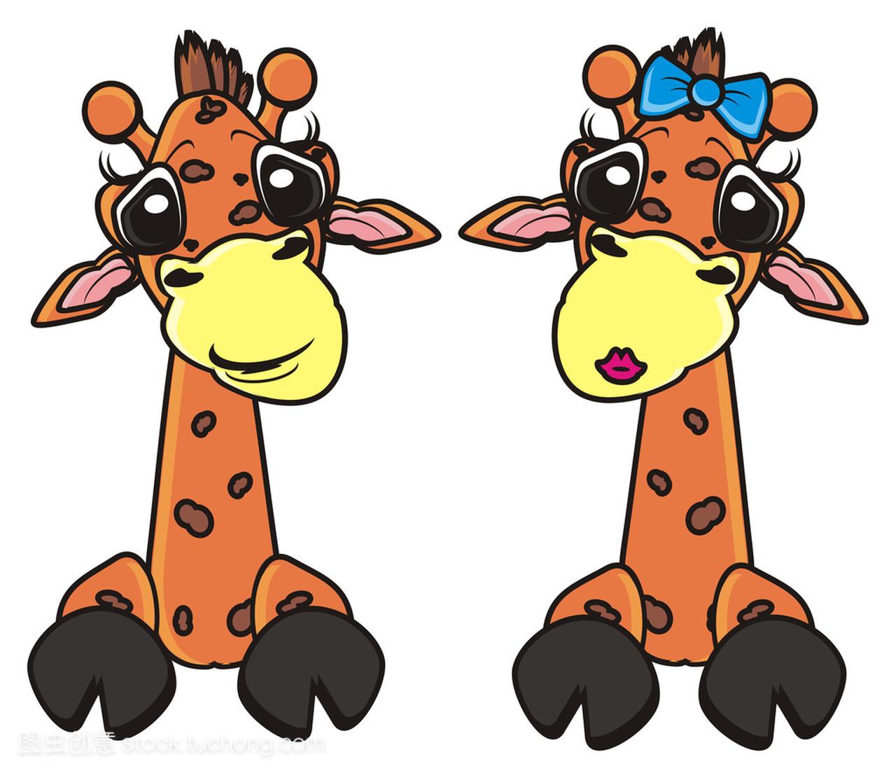 Two giraffes he and she