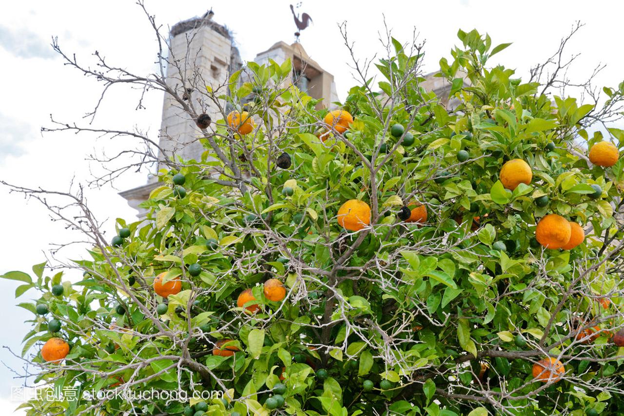橘树的小镇法鲁