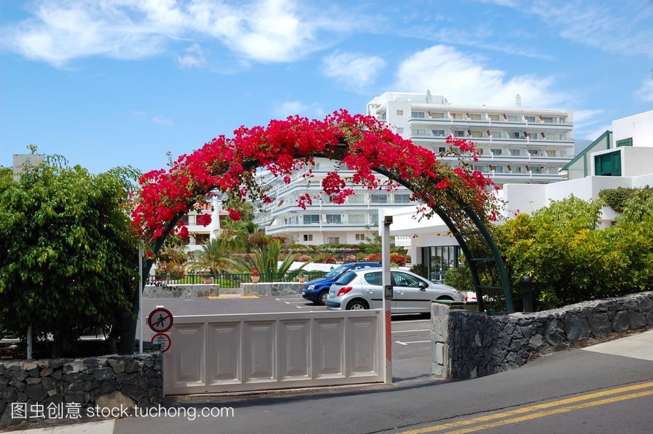 大厦和鲜花的豪华酒店,特内里费岛弧