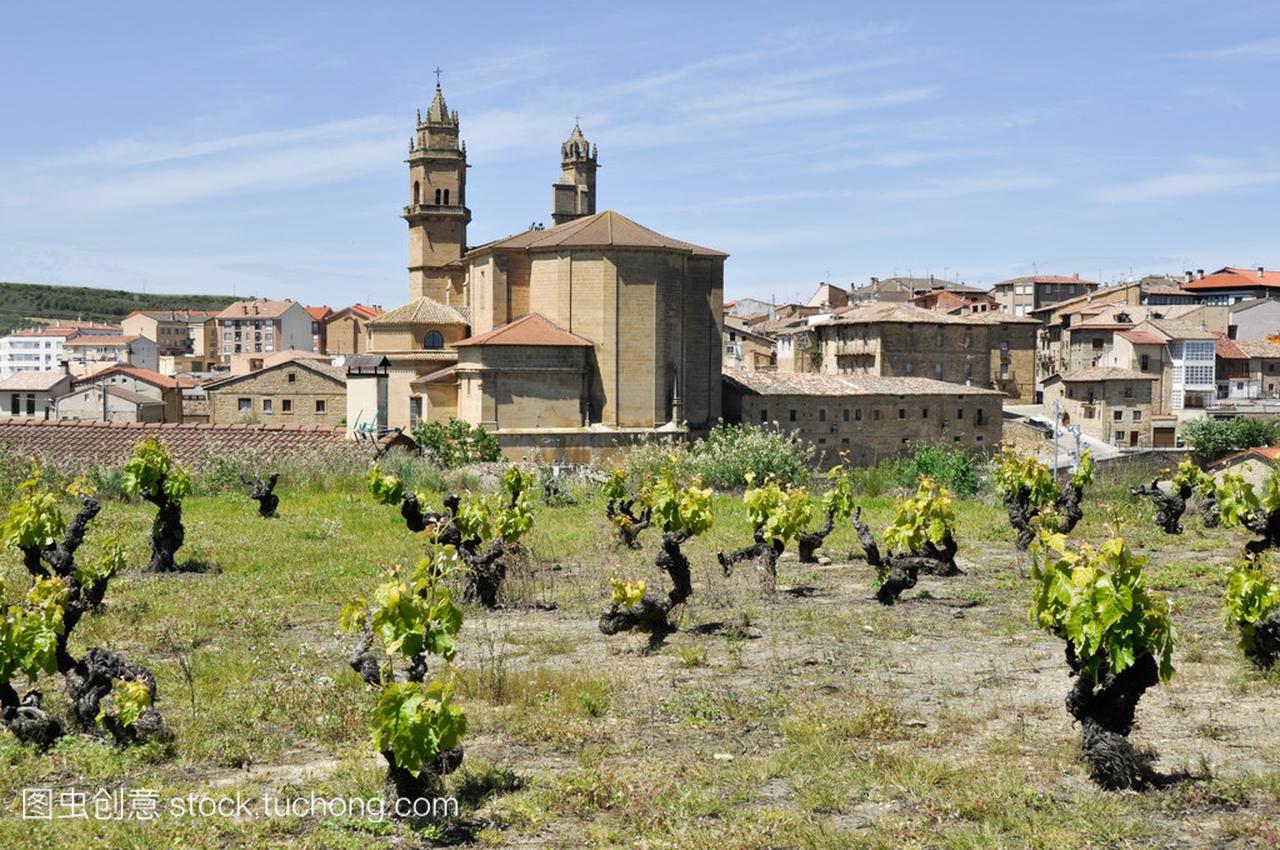 Vineyard and town of Elciego, Rioja Alavesa (S