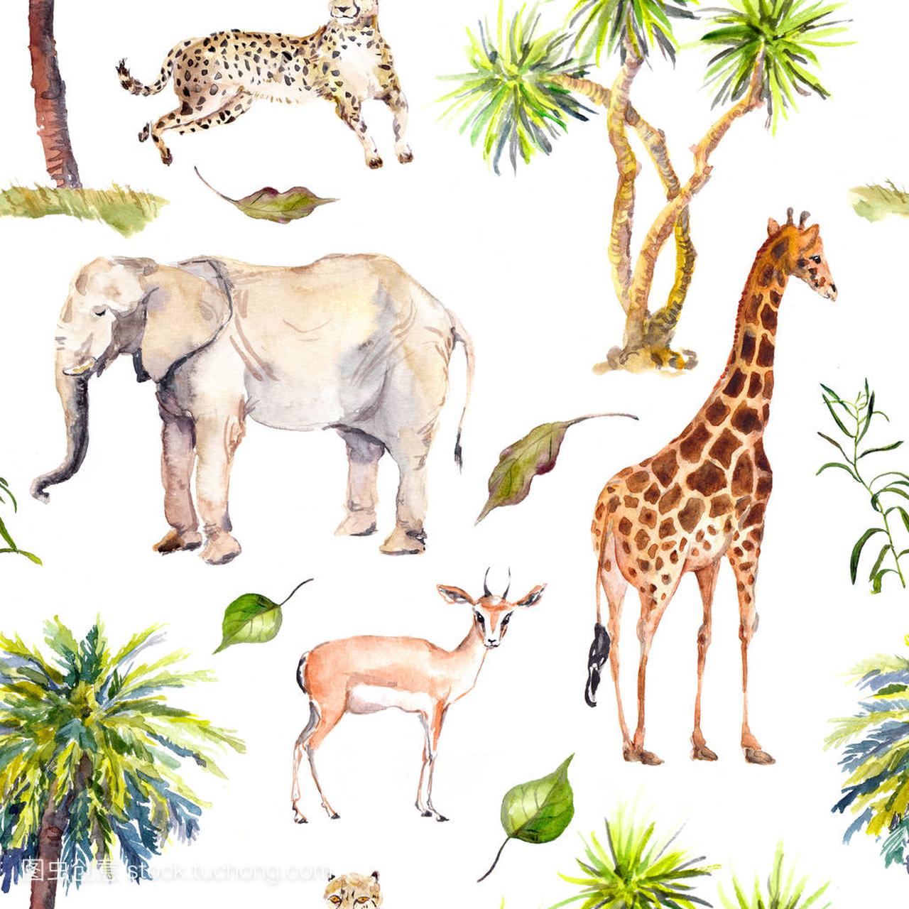 棕榈树和热带草原动物-长颈鹿、 大象、 猎豹、