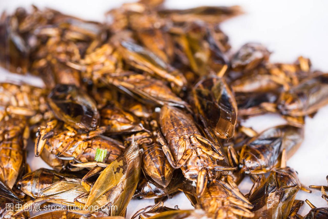巨型水蝽煎亚洲昆虫小吃食品,高蛋白的性质