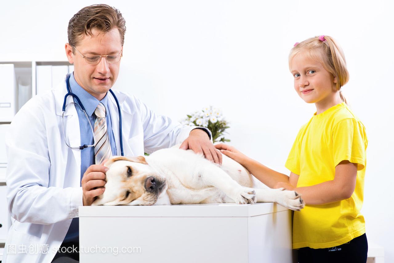 女孩拿着一条狗在一家兽医诊所