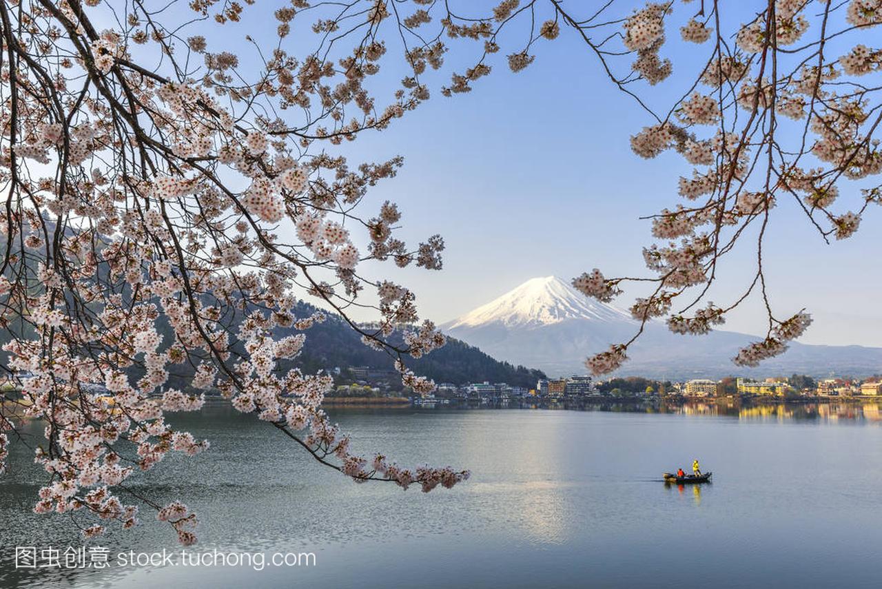 樱花树和渔夫船与春季在河口湖,日本的富士山