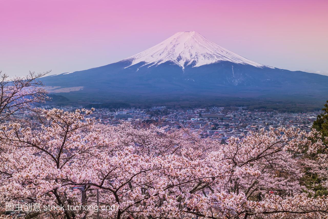 春天,樱花盛开樱花富士山