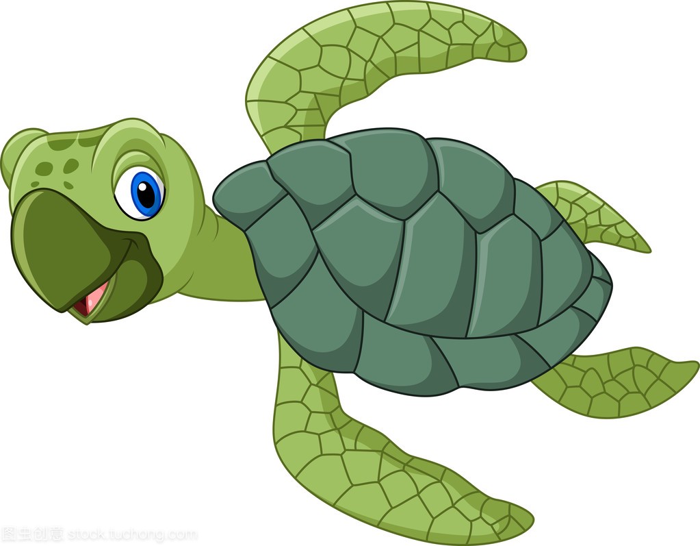 St skldpadda cartoon可爱的海龟卡通