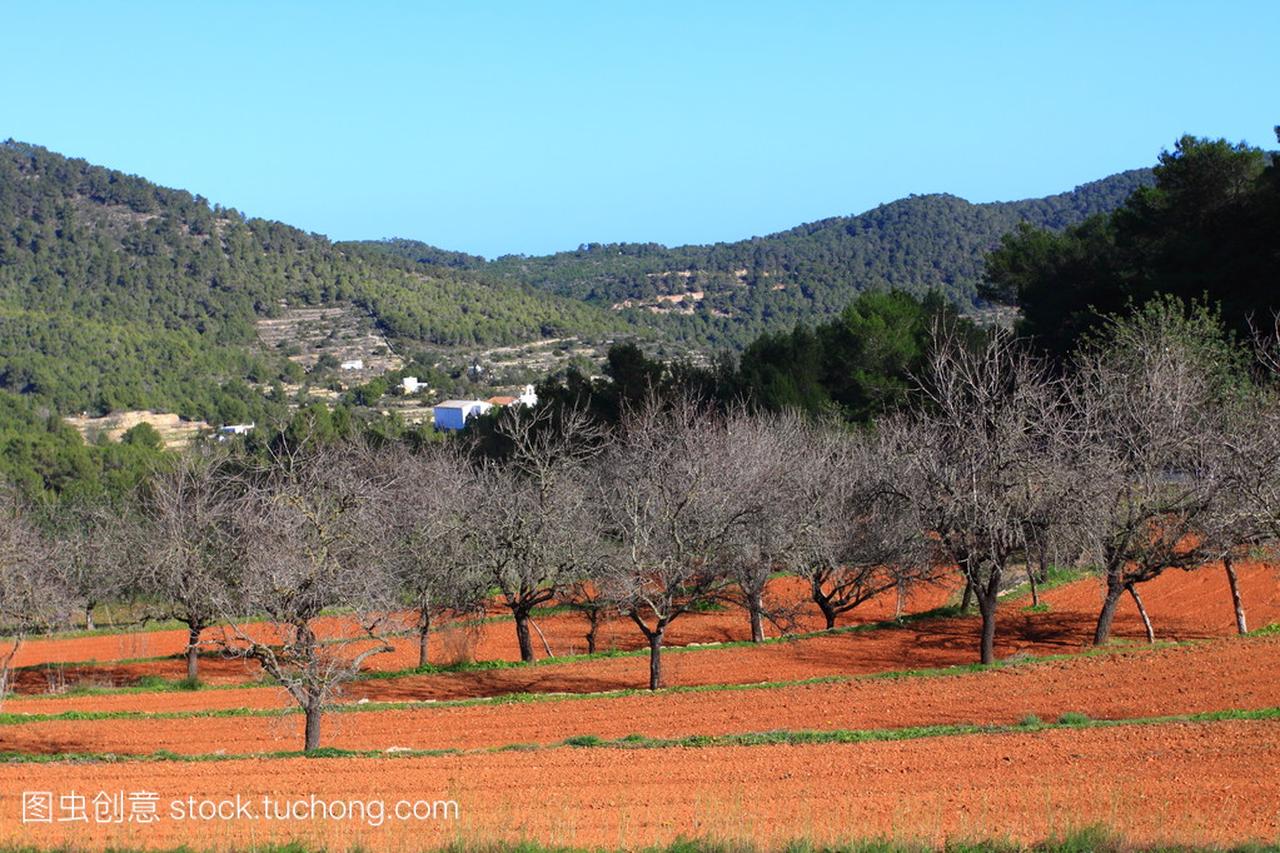 红色耕地伊维萨,西班牙巴利阿里岛中的字段