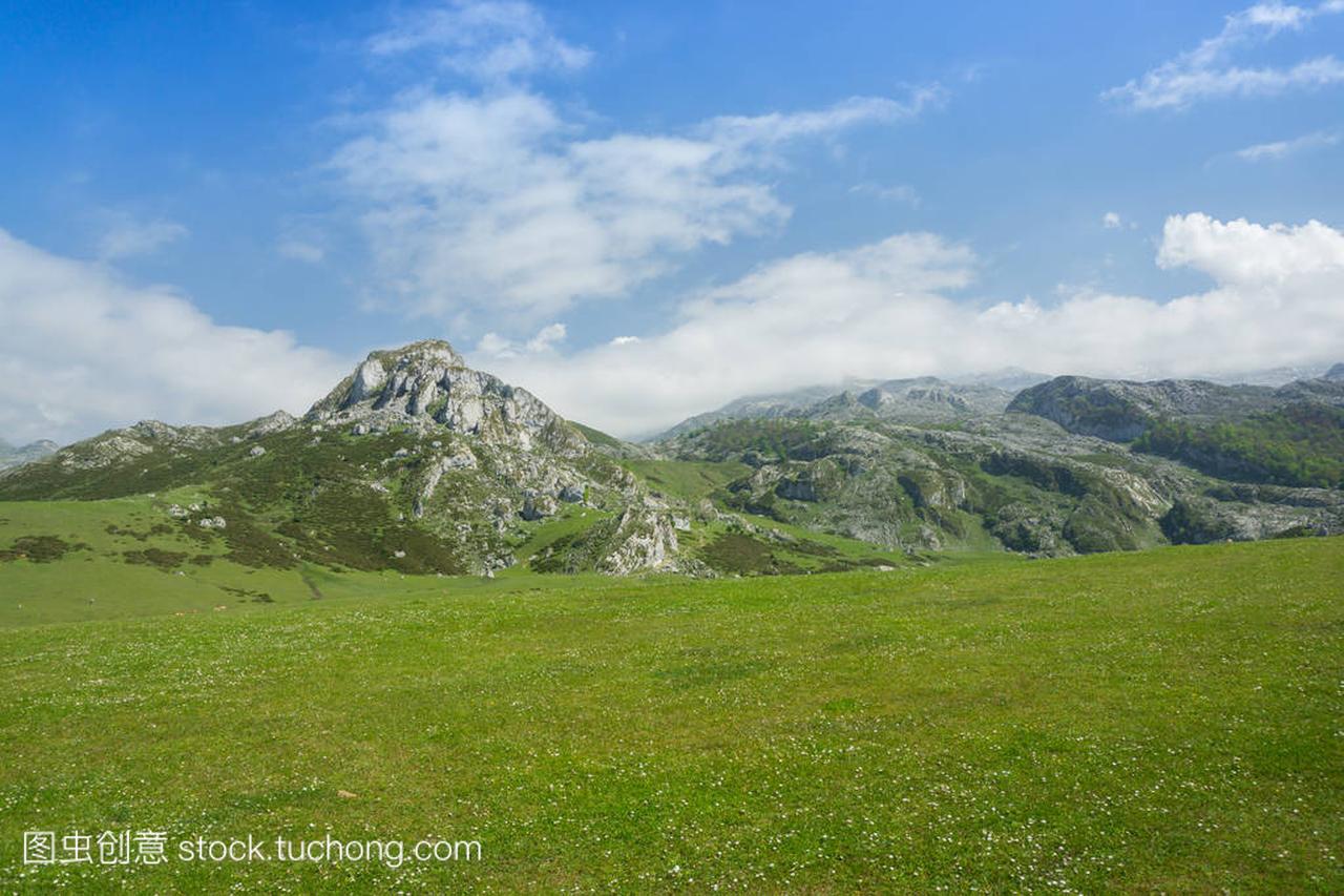 西班牙的自然美景: 夏天苏 Covadonga 的高山