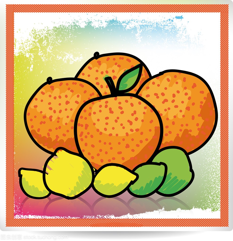 柑橘类水果,矢量图