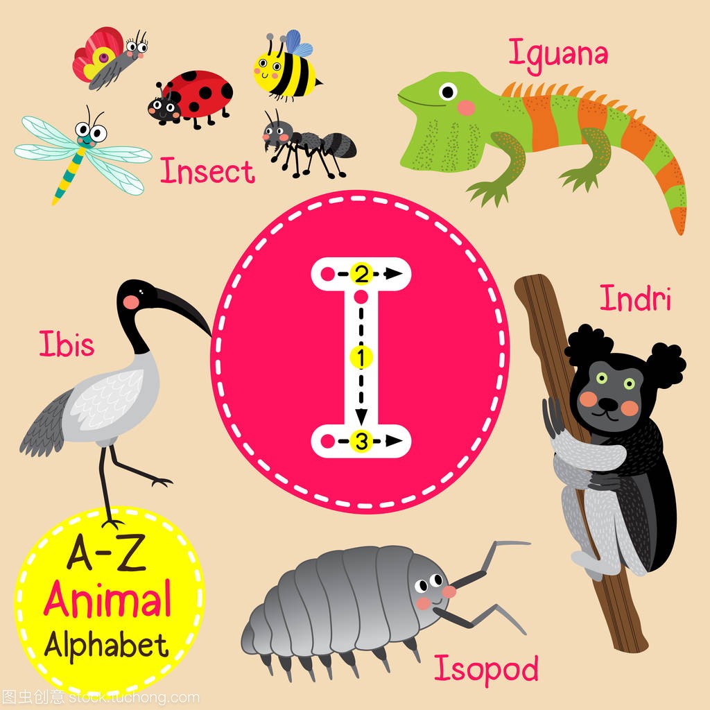 我信跟踪为滑稽动物卡通可爱儿童动物园字母表