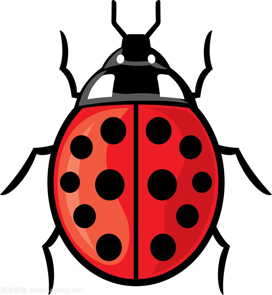 Ladybug (vector illustration of a lady bug)
