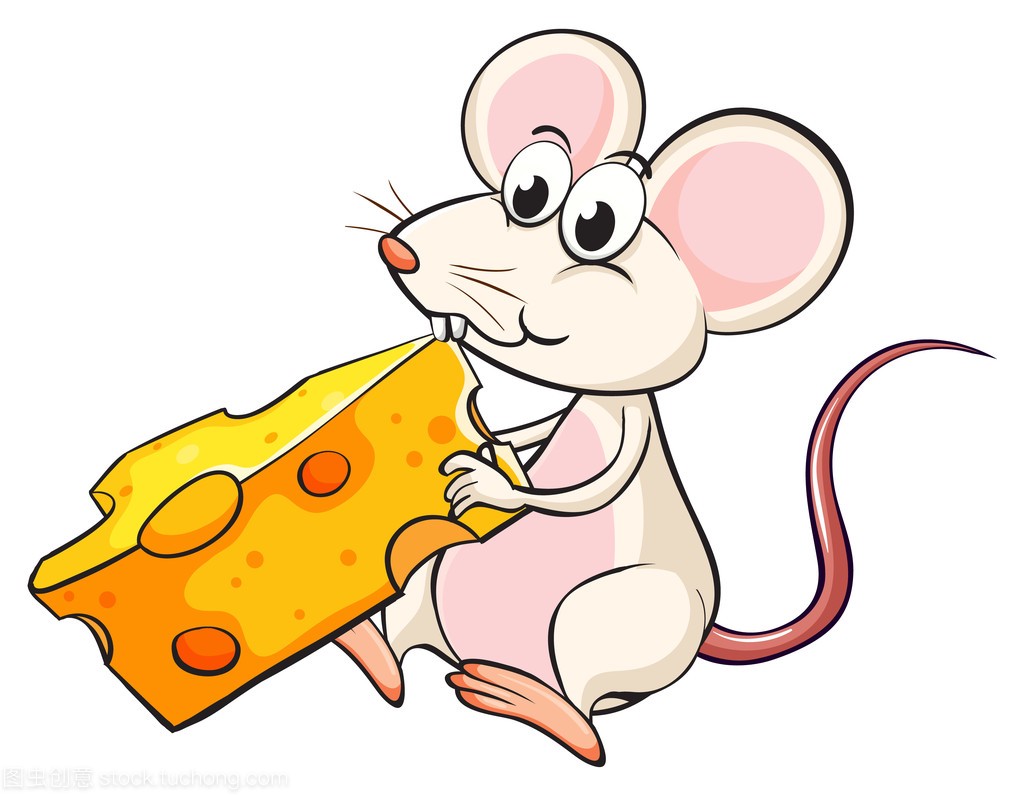 一只老鼠吃奶酪