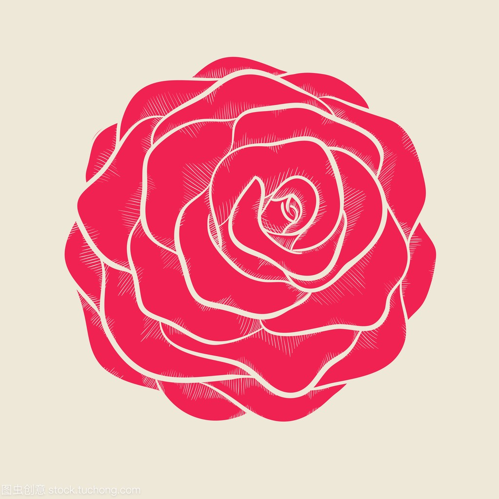 美丽的粉红色玫瑰在手绘的葡萄酒颜色的图形样
