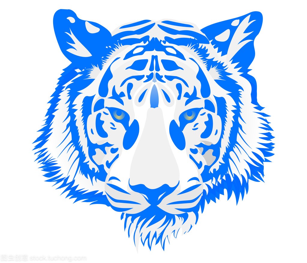 Head of fire tiger in blue. Illustration on white ba
