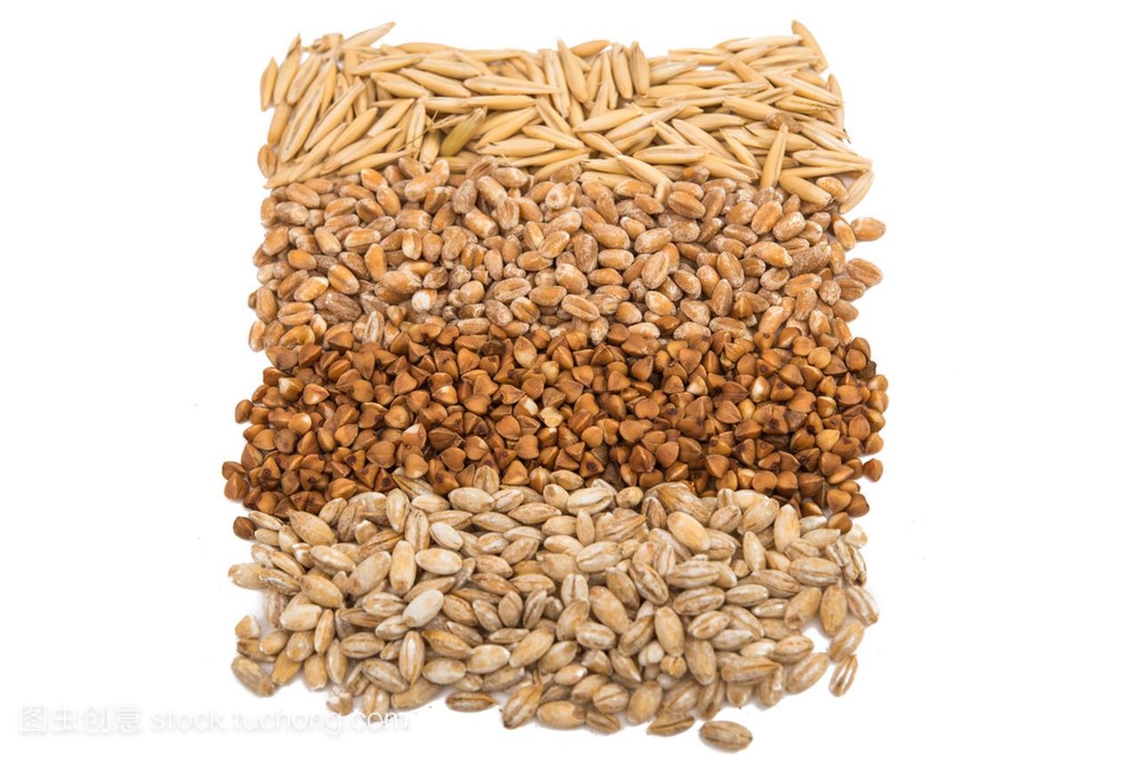 大麦 小麦 荞麦 燕麦