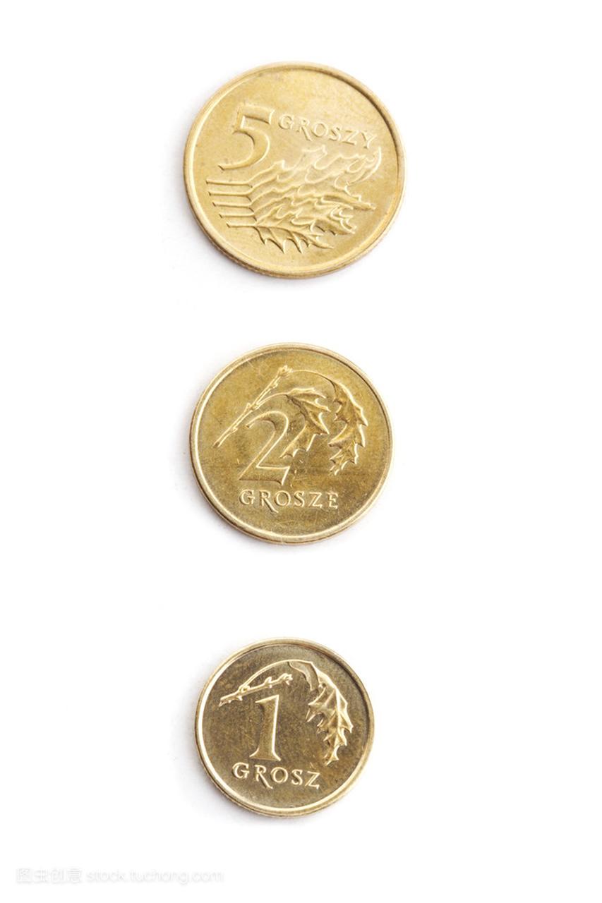 波兰的货币硬币