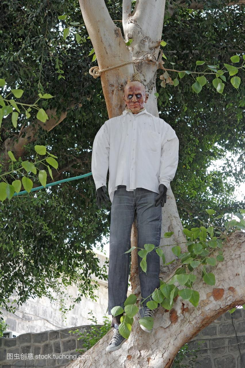 娃娃挂在一棵树在恐怖片提比利亚,以色列的剧