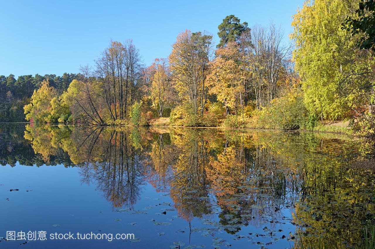 秋季景观树木倒映在湖