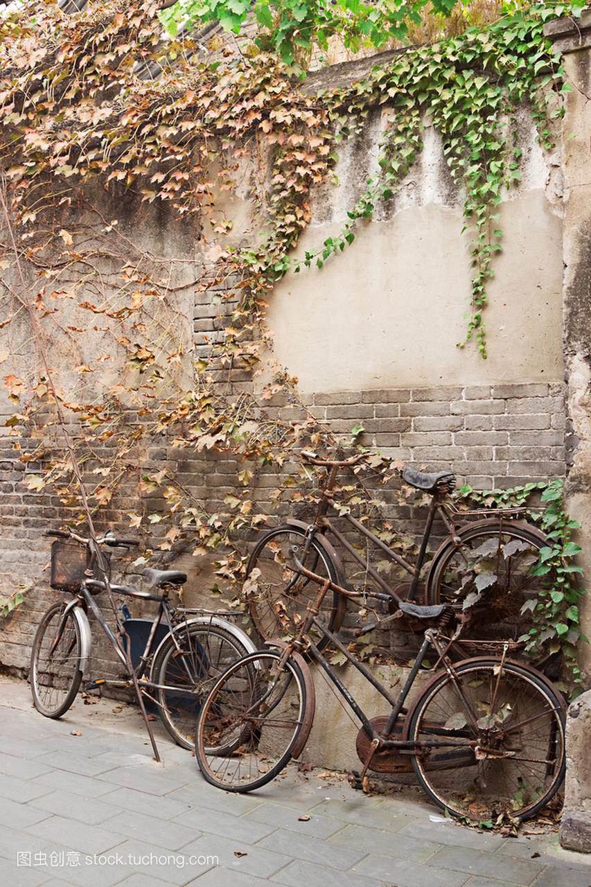 在带纹理的常春藤墙附近的老破的自行车