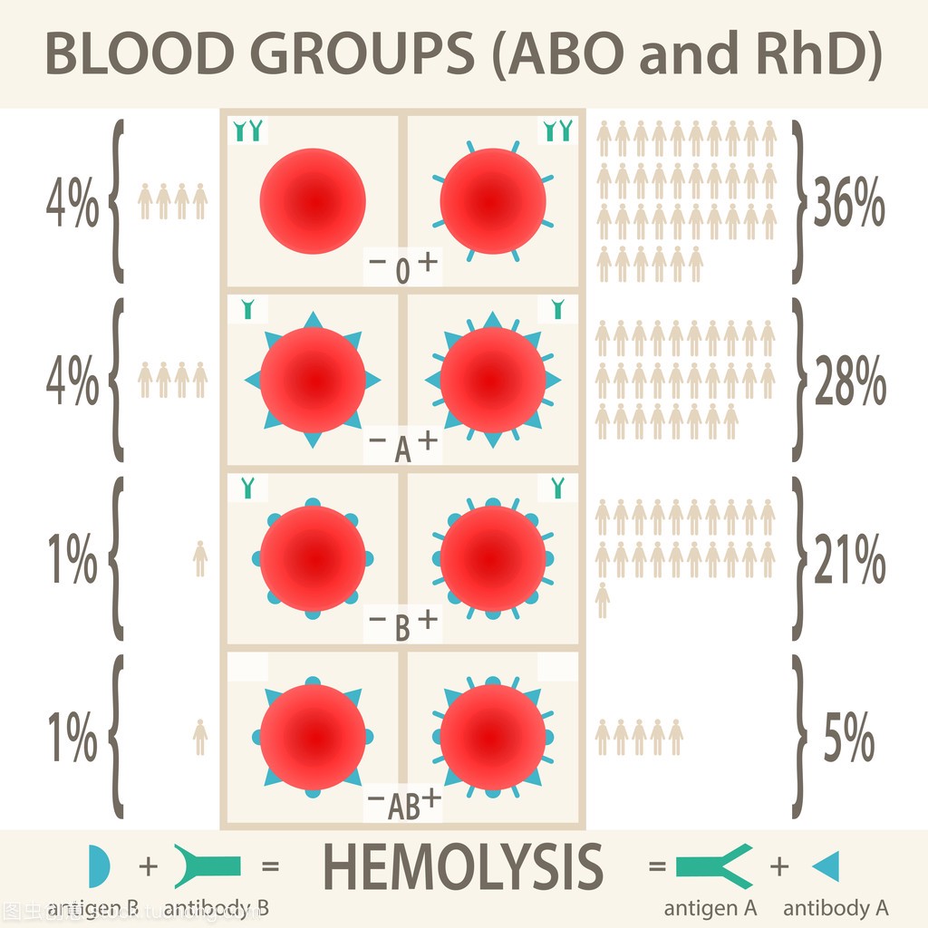 Abo 和 Rhd 血型系统关系图和图表。矢量