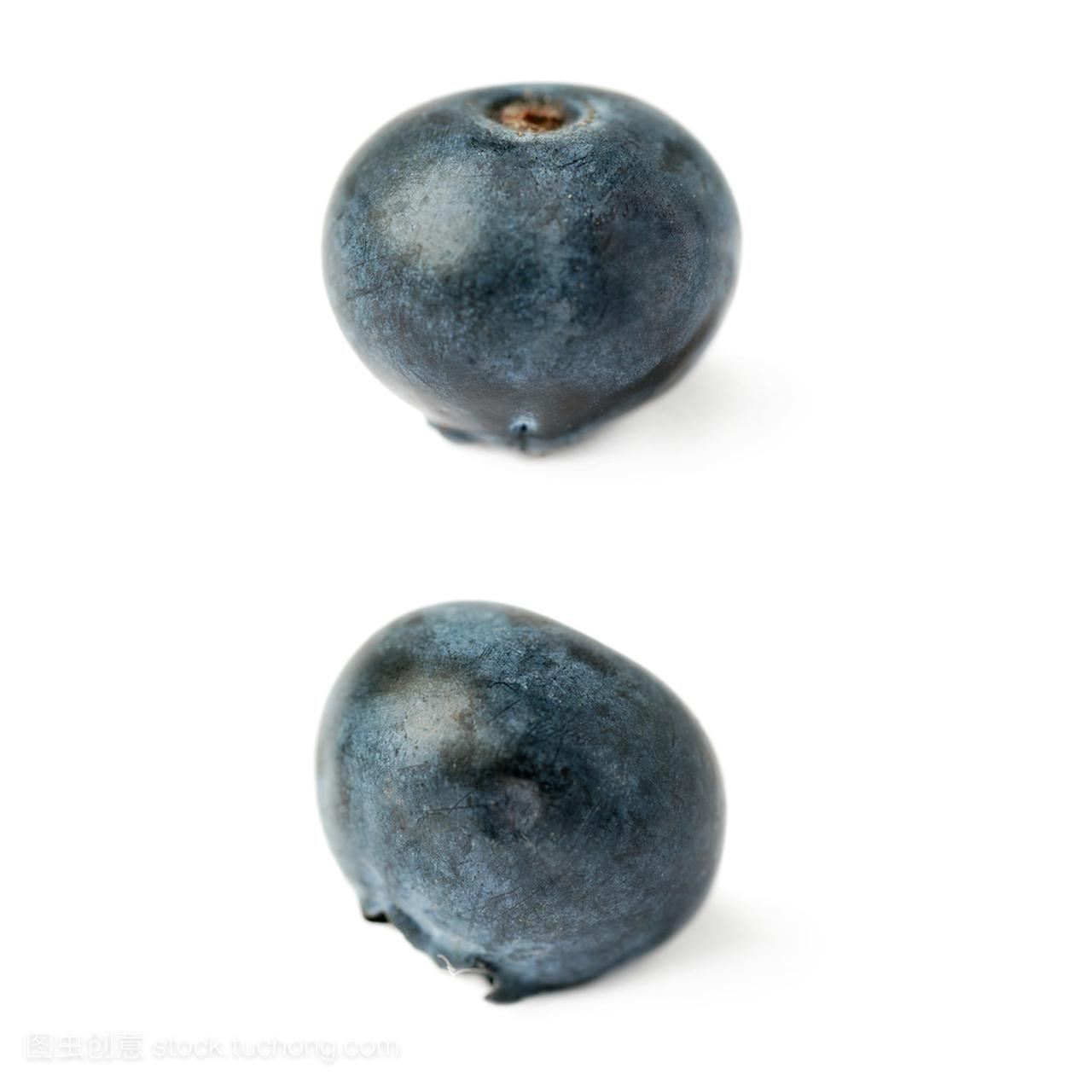 组的单个浆果越桔或蓝莓在孤立的白色背景