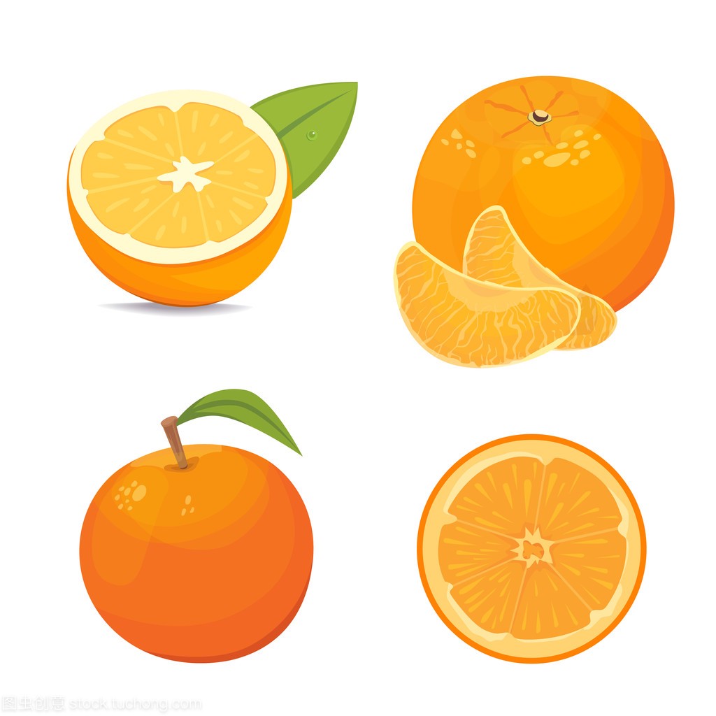 新鲜成熟的橙子和橘子用树叶矢量集合。设置的