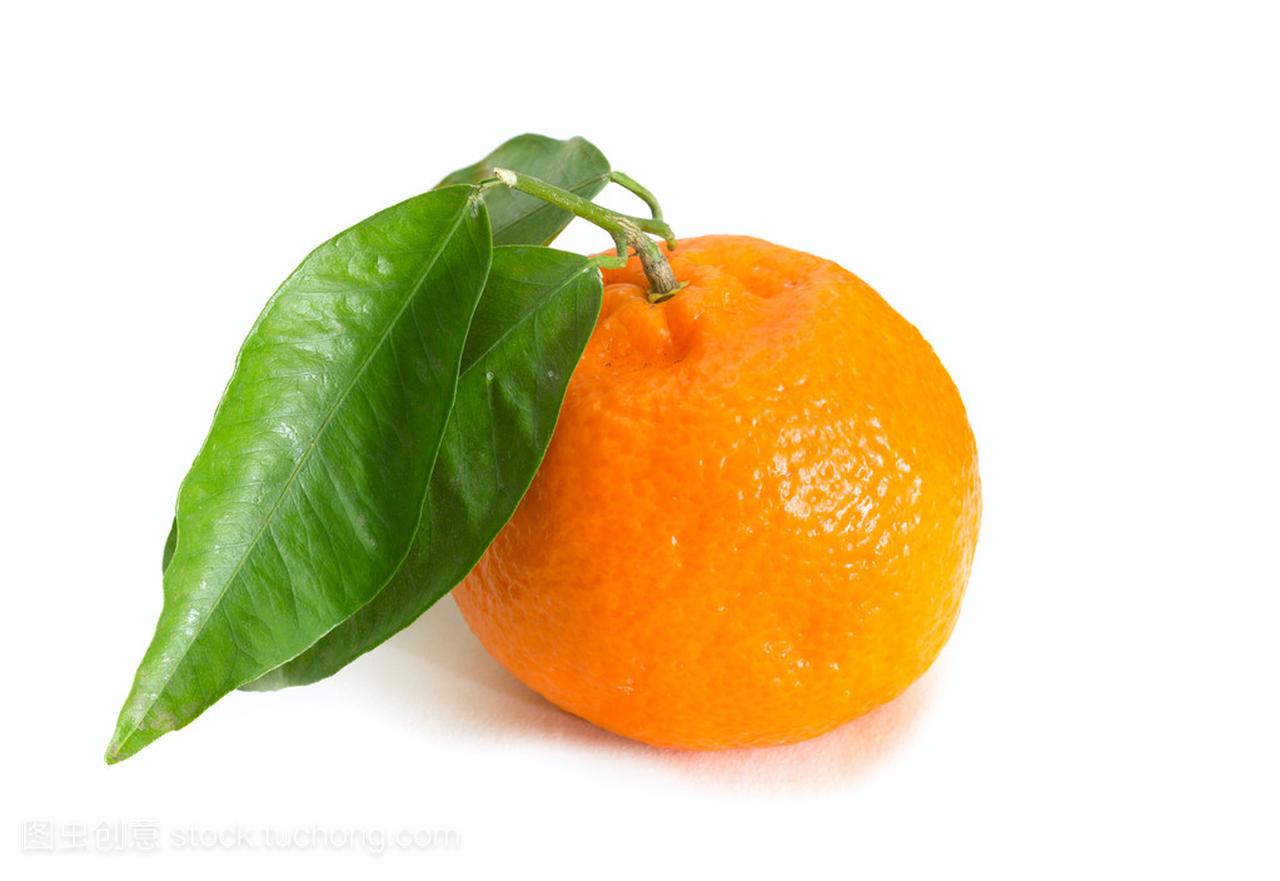 白色背景上的橘柑橘类水果