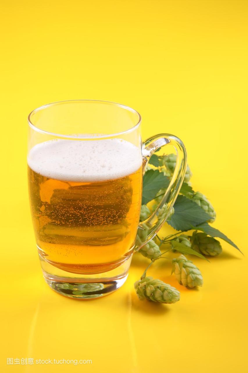 一品脱的啤酒和树枝啤酒花 (葎草属) 在黄色背