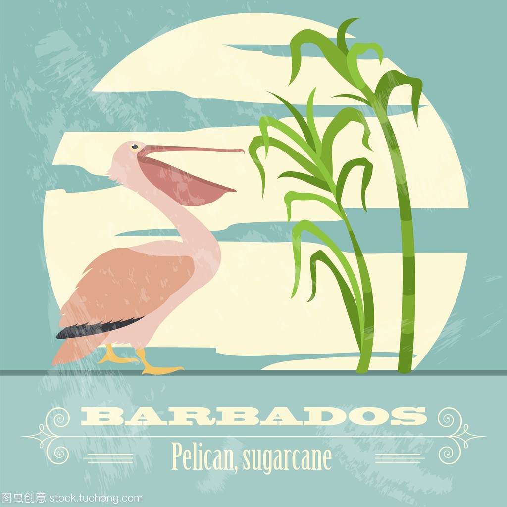 巴巴多斯国家象征。鹈鹕,甘蔗。复古风格的形