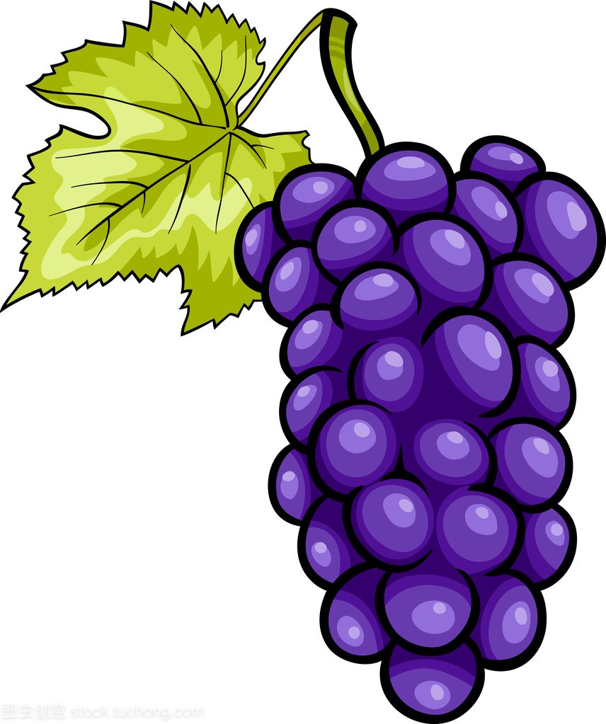 蓝色葡萄水果卡通插图