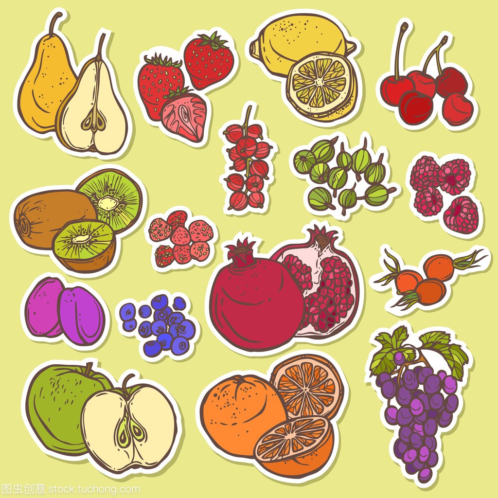 水果和浆果素描彩色的贴纸