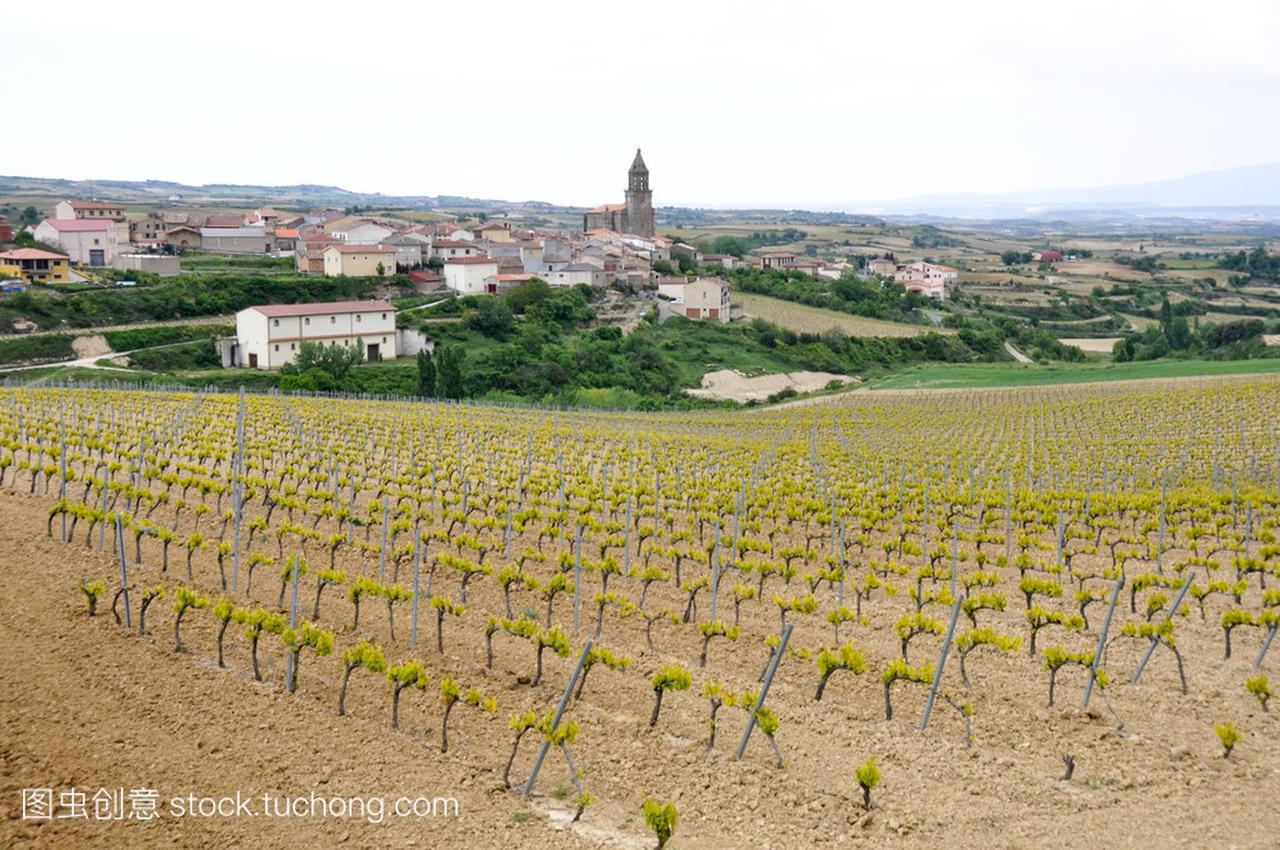 Vineyard and town of Elvillar, Rioja Alavesa (Sp