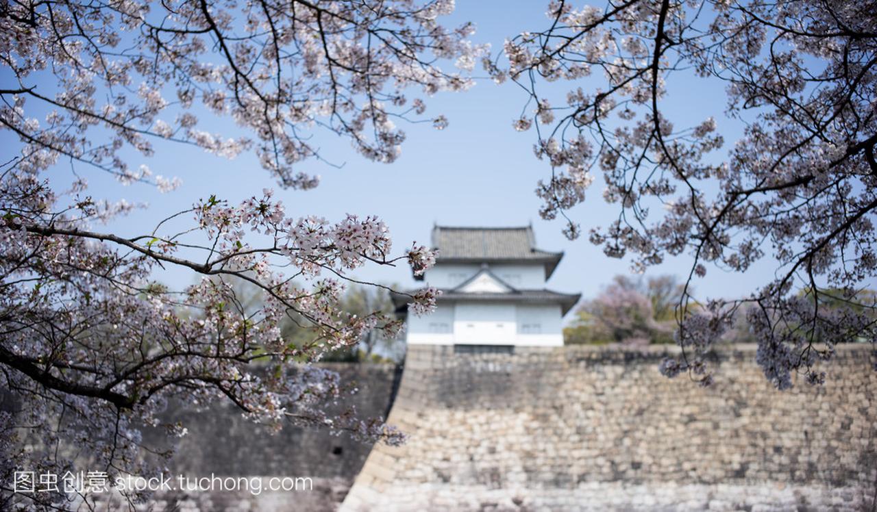 大阪城堡与樱花焦点在樱桃花