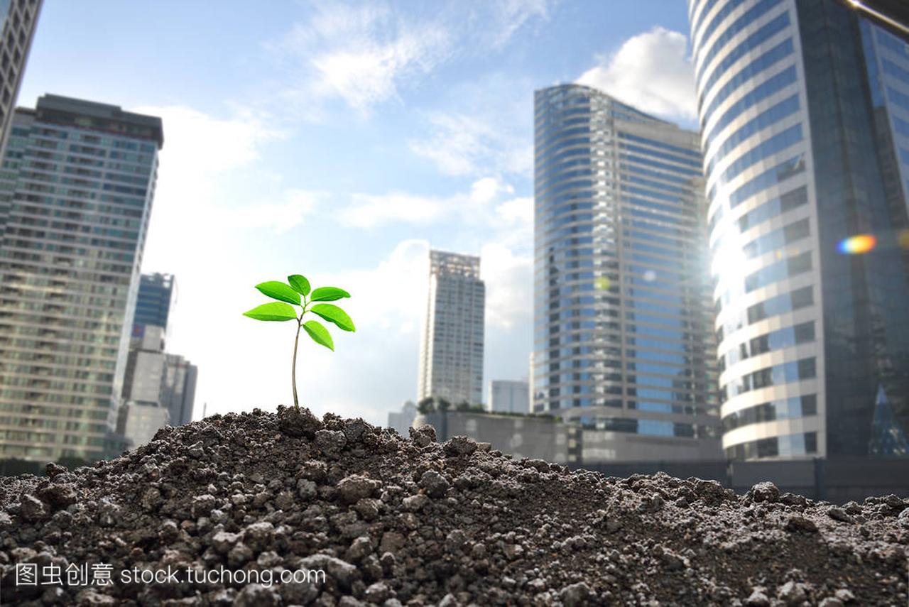 年轻的植物生长在污染严重的城市,环境的概念