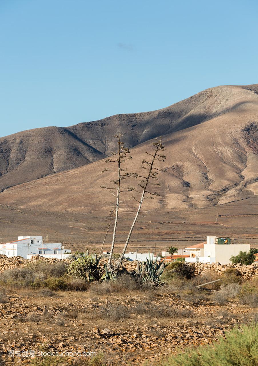 ic mountains on Fuerteventura. Canary Islands.