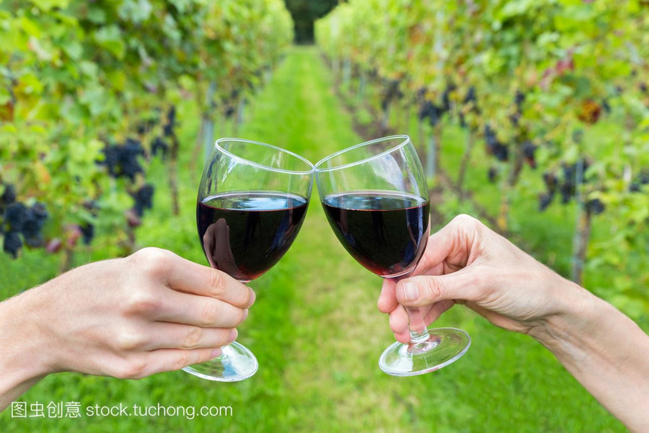 两只手,举杯同葡萄酒的葡萄园