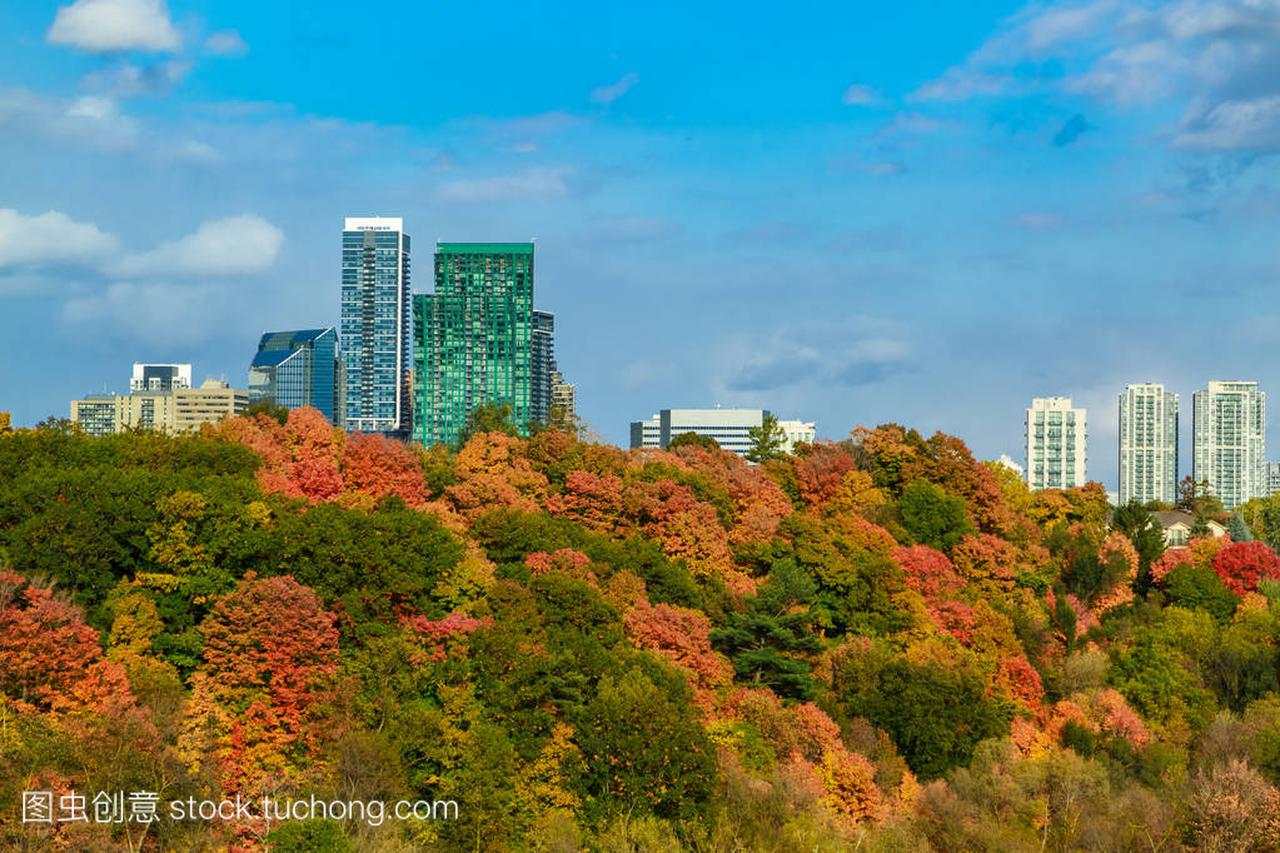 秋季时间多伦多公园与各住宅区房屋在蓝蓝的天