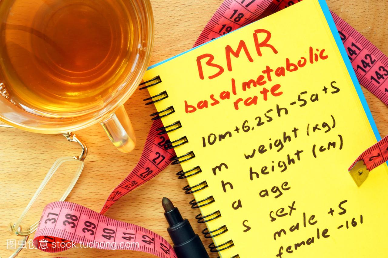 在记事本中的 Bmr 基础代谢率公式