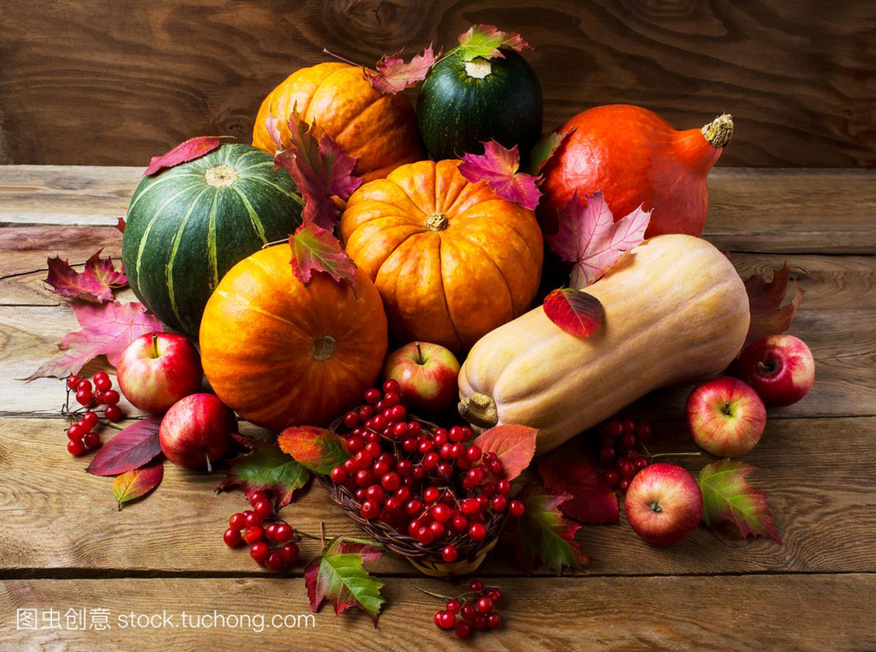 Abundant harvest concept with pumpkins, apple