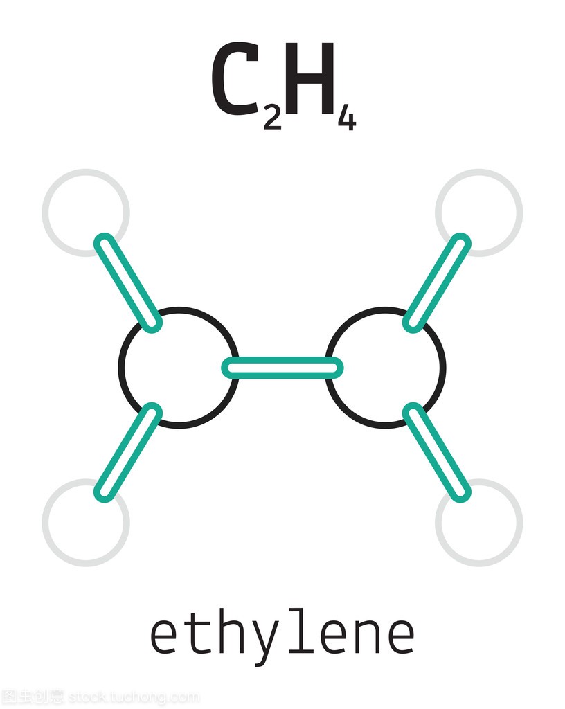 C2h4 乙烯分子