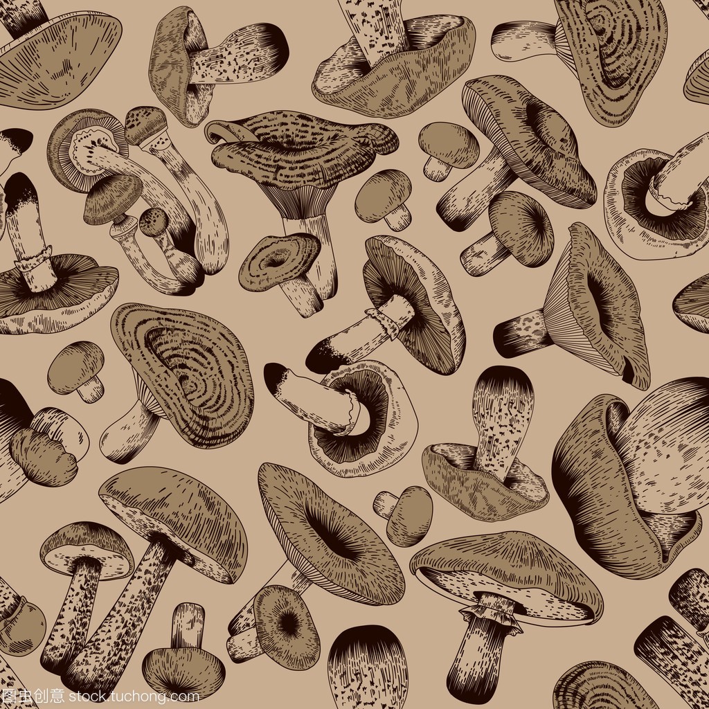 Mushrooms. Botany. Engraving. Vector vintage