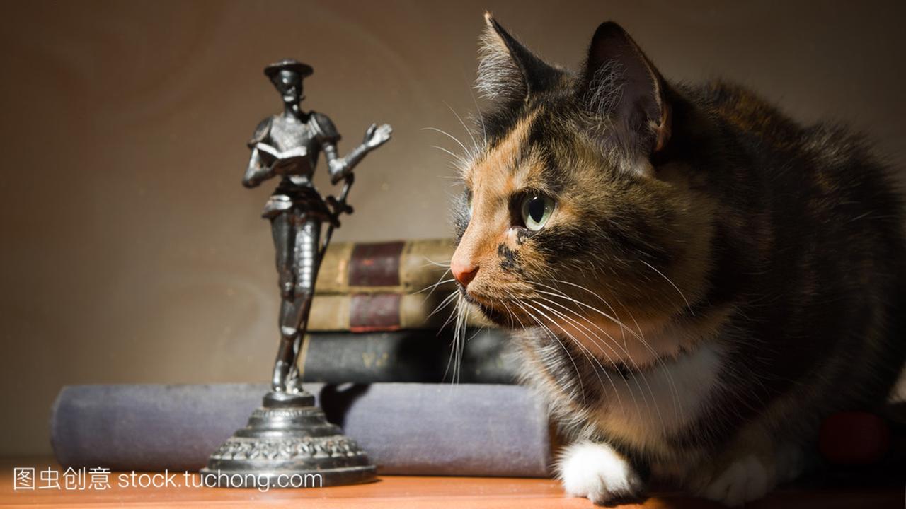 猫和唐吉诃德雕像