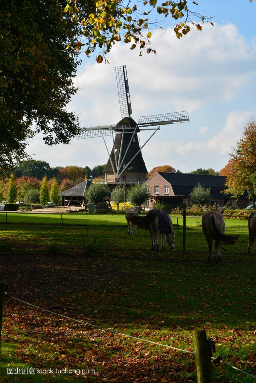 与传统的荷兰粮食风车景观
