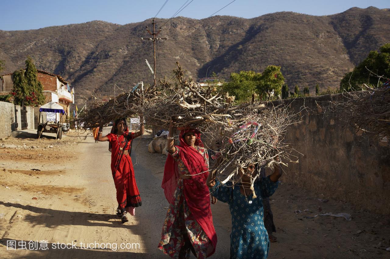 印度妇女在他们的头上运载木材分公司