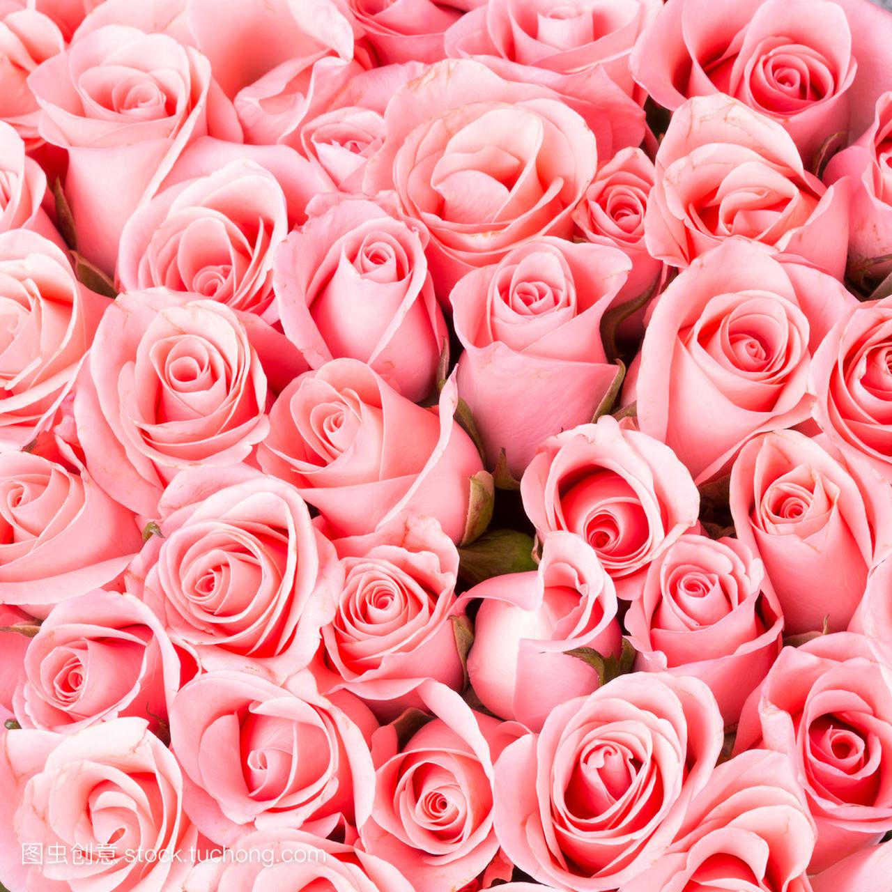 粉红色玫瑰花花束背景